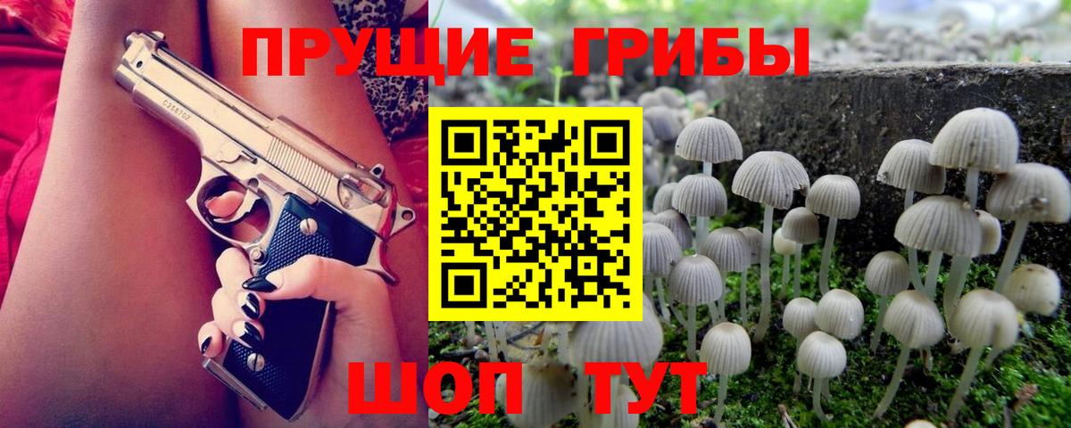 Псилоцибиновые грибы Magic Shrooms  где купить наркоту  Петрозаводск  Вход с VPN 